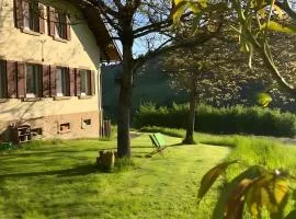 Auszeit im Waldhaus