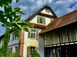 Villa Buselmeier，位于诺伊里德的酒店