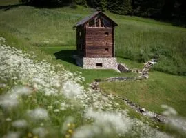 Burgfrieder Mühle