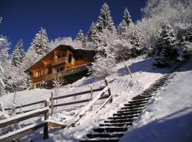 La Rissole - Chalet familial，位于沙泰勒的酒店