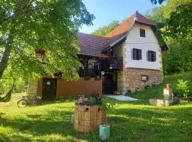 Etno kuca Milidrag