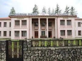 Hotel Salkhino