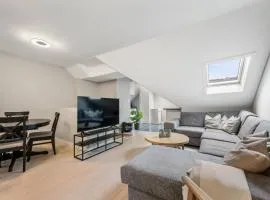 Central newly renovated apartment