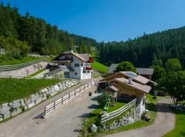 Ferienhaus Tholer Hof