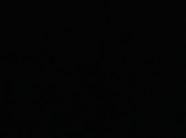 Hotel Braan Draculaa，位于布朗的酒店