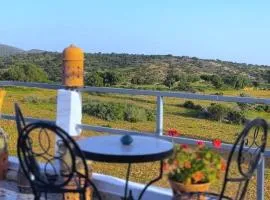 Yamna home