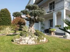 L'Ulivo bed and breakfast