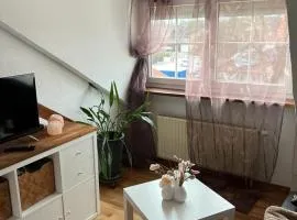 Studio Banniza