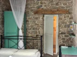 Anthemis home I