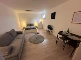 Apartment nähe Centro, Rudolf Weber Arena