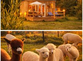 Dartmoor Reach Alpaca Farm，位于巴维特雷西的酒店