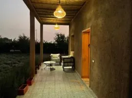 Domaine VILLA