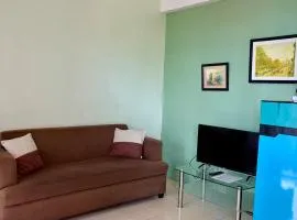 Ocean View Apartment-Near Blood Compact Shrine