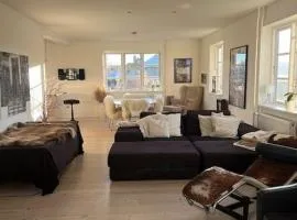 Luxurious, spacious apartment - Nordic Style
