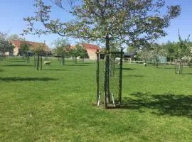 Vakantiehuis 1 - Ter Douve