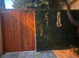 Galliu'S home