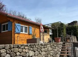 Chalet type Loft
