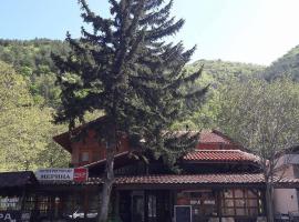 Motel Restaurant Merina，位于Simitli的酒店