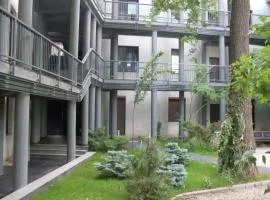 Bosco Dream Neptun-Olimp