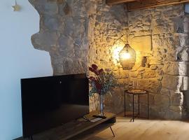 Ca la Francisqueta, La Tina i el Deso Apartament amb encant a Solsona，位于索尔索纳的酒店