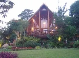 The Log of Paradis