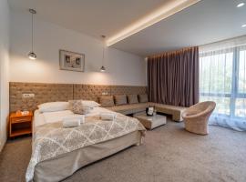 Hotel Varazdin，位于瓦拉日丁的酒店