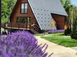 Twin Cabins / Cabanele Gemene