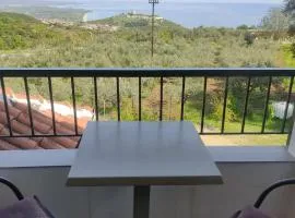 Thea apartments 2