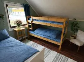Alfa Room - The LOWFO House Lofoten