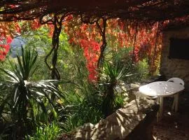 Cal Xeco en Montsonis, da la bienvenida a tu mascota