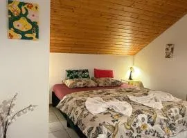 Soso Studio Cosy