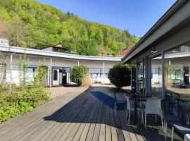 Arena Hotel Waldshut，位于瓦尔茨胡特田根的酒店