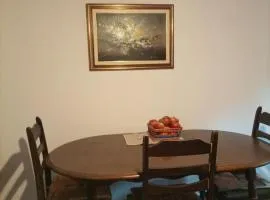 Apartma pri Ivanu Spodnja Kanomlja 49