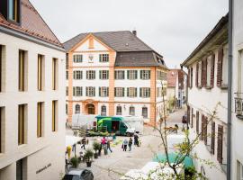 Marktplatz-Hotel Ochsen，位于埃欣根的酒店