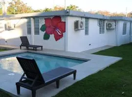 The Mango House