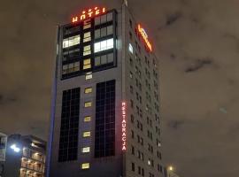 Great Polonia Silesian Economy Hotel，位于卡托维兹的酒店