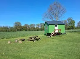 Tiny House