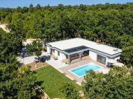 Luxury Villa Grey