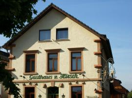 Gasthaus zum Hirsch Hotel - Restaurant，位于Ottersweier的酒店