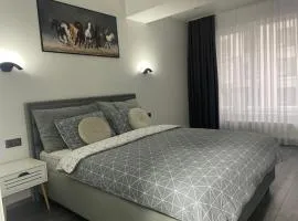 Modern Apartment