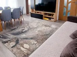 Casa Vatra Dornei