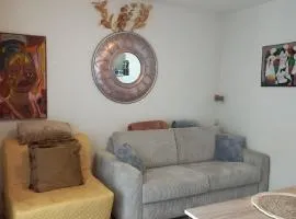 Studio SAFARI