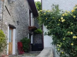 Casa Mauri
