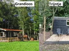 Het Zwarte Paard
