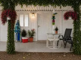 Black & White Comfort Studio