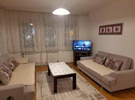 Apartment in Pale