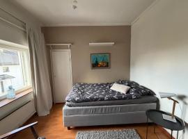 Snygg studio lägenhet Wolffskavägen 21，位于瓦萨的酒店
