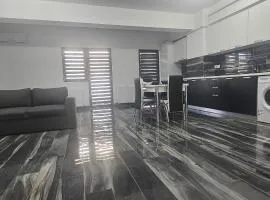 Ysa home