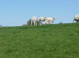 Erholung am Deich