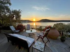 Villa Mitzela